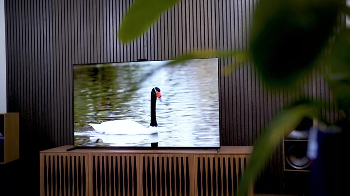 Sony A95L QD-OLED Review