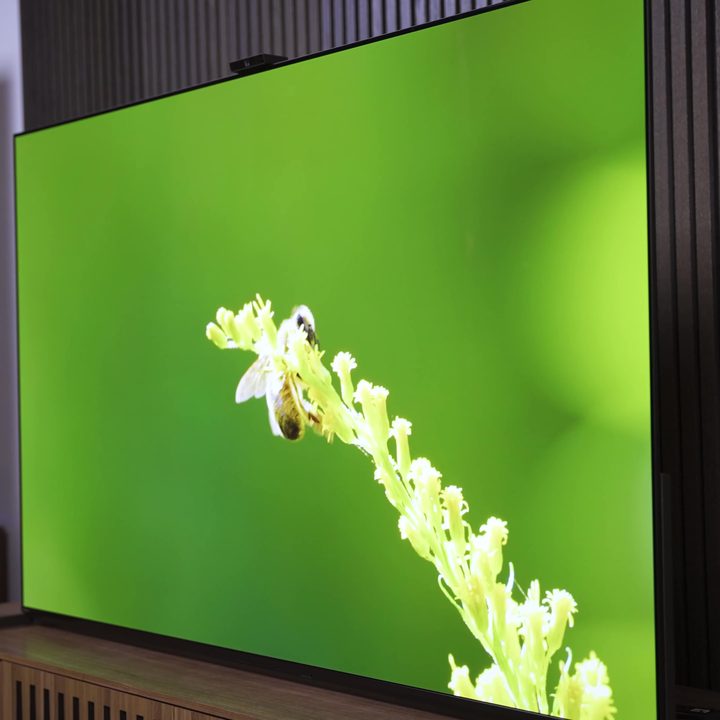 A bee clings to the end of a long flower spray on a vibrant green backgound shown on a Sony A95L QD-OLED.
