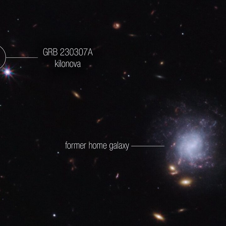 A team of scientists has used the NASA/ESA/CSA James Webb Space Telescope to observe an exceptionally bright gamma-ray burst, GRB 230307A, and its associated kilonova. Kilonovas—an explosion produced by a neutron star merging with either a black hole or with another neutron star—are extremely rare, making it difficult to observe these events. The highly sensitive infrared capabilities of Webb helped scientists identify the home address of the two neutron stars that created the kilonova. This image from Webb’s NIRCam (Near-Infrared Camera) instrument highlights GRB 230307A’s kilonova and its former home galaxy among their local environment of other galaxies and foreground stars. The neutron stars were kicked out of their home galaxy and travelled the distance of about 120,000 light-years, approximately the diameter of the Milky Way galaxy, before finally merging several hundred million years later.