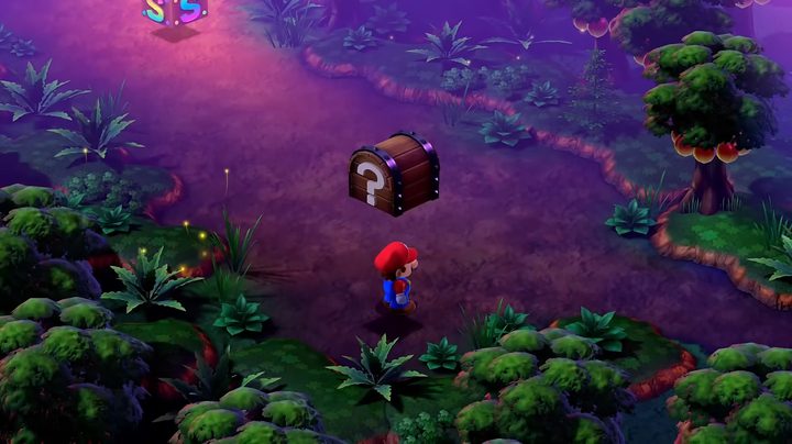 Mario near a save point.
