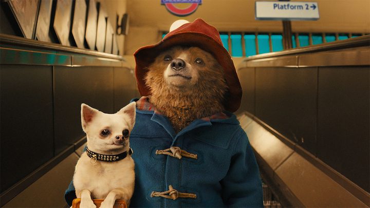 Paddington Bear in Paddington.
