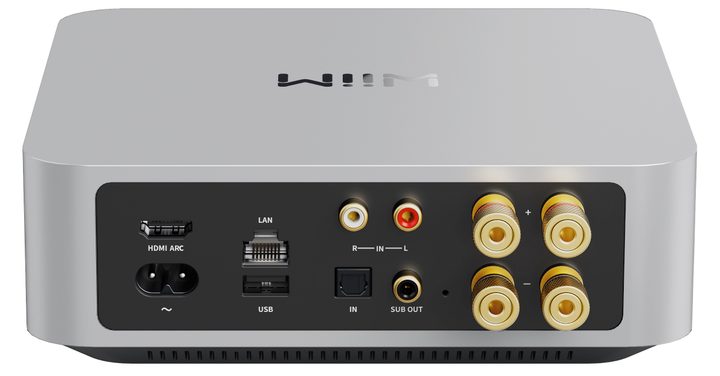 Wiim Amp rear panel.