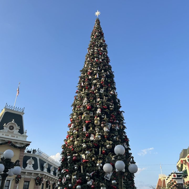 Christmas tree at Disneyland taken with iPhone 14.