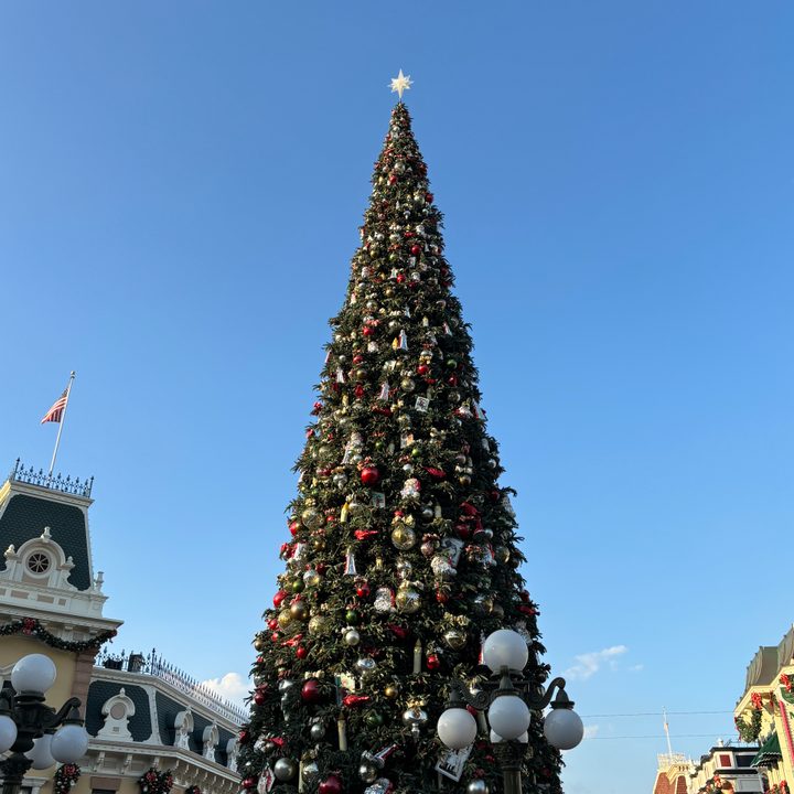 Christmas Tree at Disneyland taken with iPhone 15.