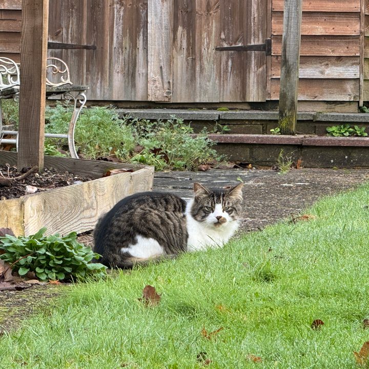 A photo taken with the Apple iPhone 15 Pro Max's main camera at 10x zoom.