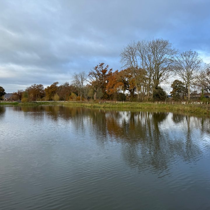 A photo taken with the Apple iPhone 15 Pro Max's main camera.