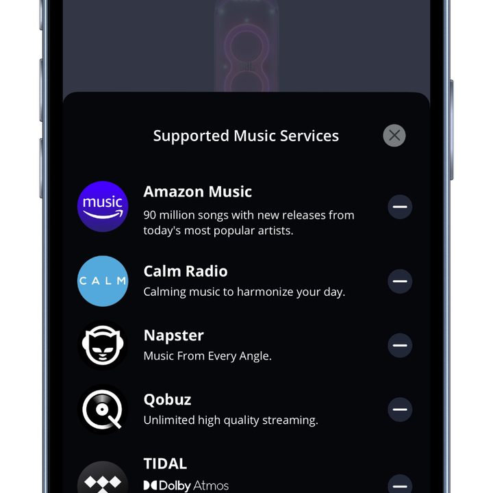 The JBL One app's list of music streaming services.