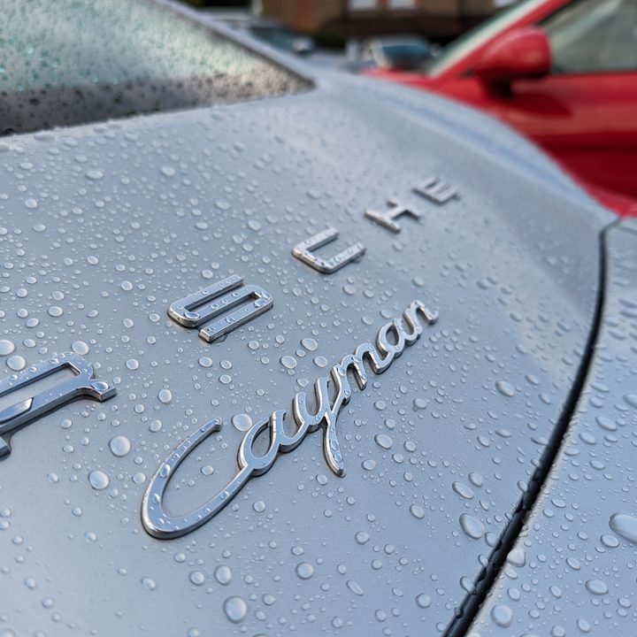 A photo taken with the Google Pixel 8's main camera.