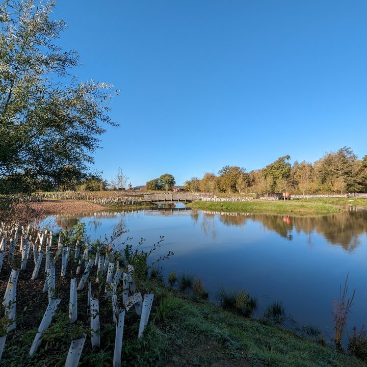 A wide-angle photo taken with the Google Pixel 8.