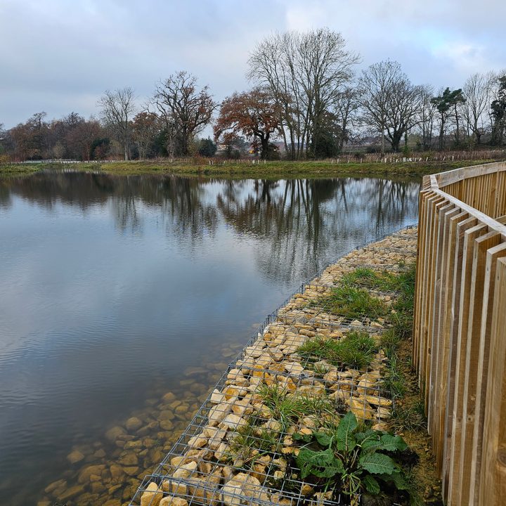 A photo taken with the Samsung Galaxy S23 Ultra's main camera.