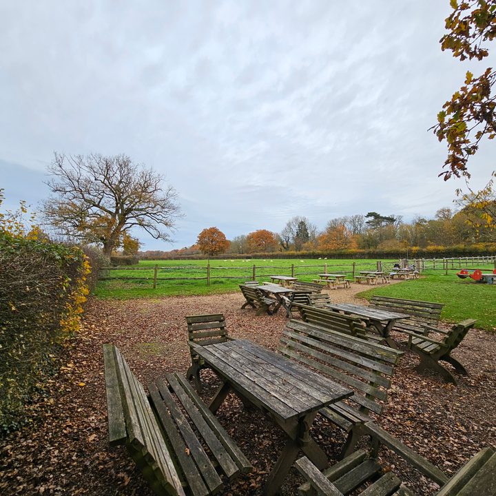A photo taken with the Galaxy S23 Ultra's wide-angle camera.