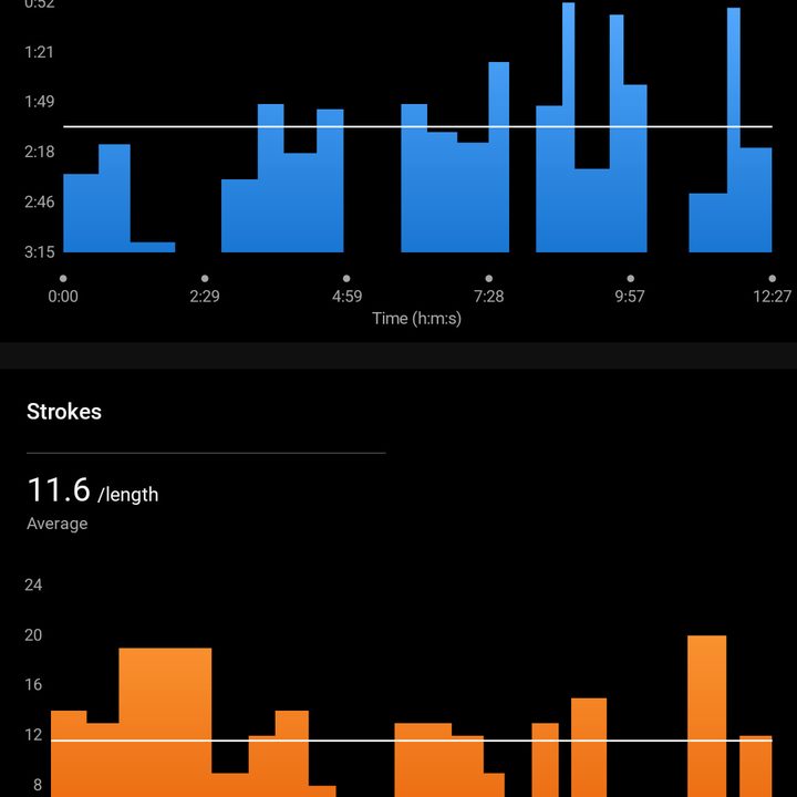 Detailed graphs in Garmin Connect.