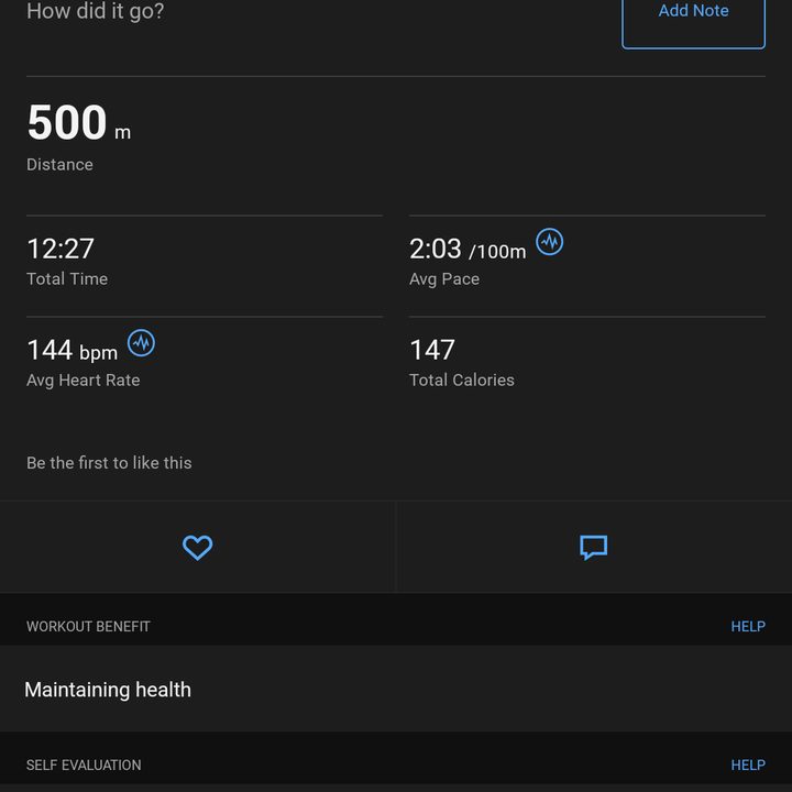Overview of a swimming activity in Garmin Connect.