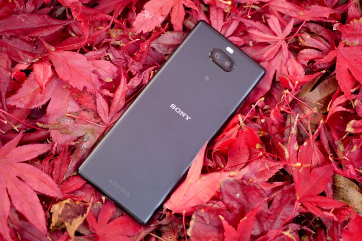 The back of the Sony Xperia 10 Plus.