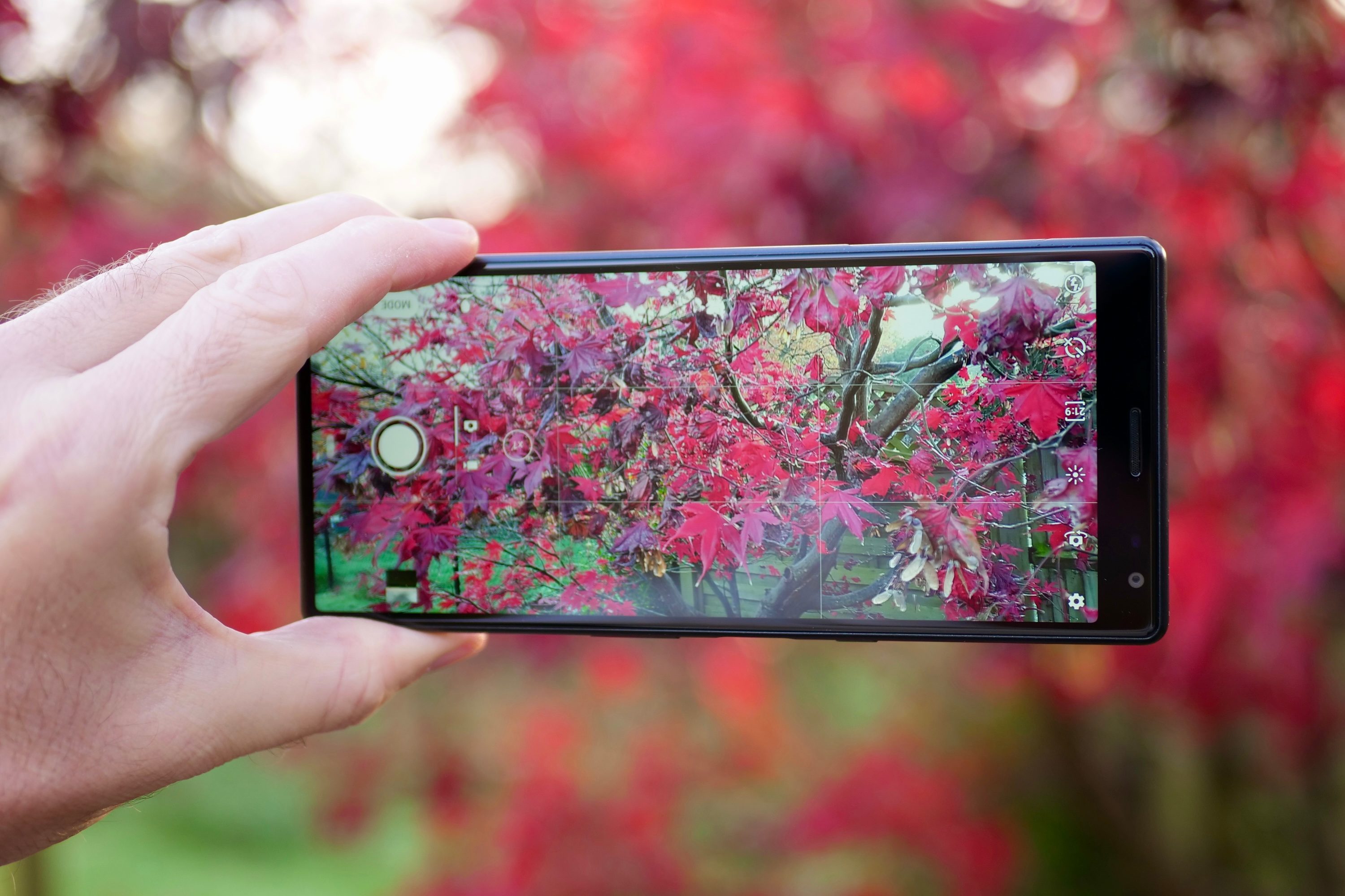 A person holding the Sony Xperia 10 Plus and taking a photo.