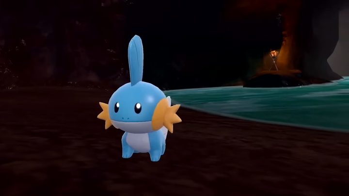 A mudkip being a little dude.