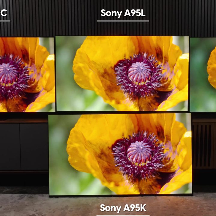 A yellow-orange flower in close up compared on a Samsung S95C, Sony A95L, LG G3, and Sonly A95K TV.