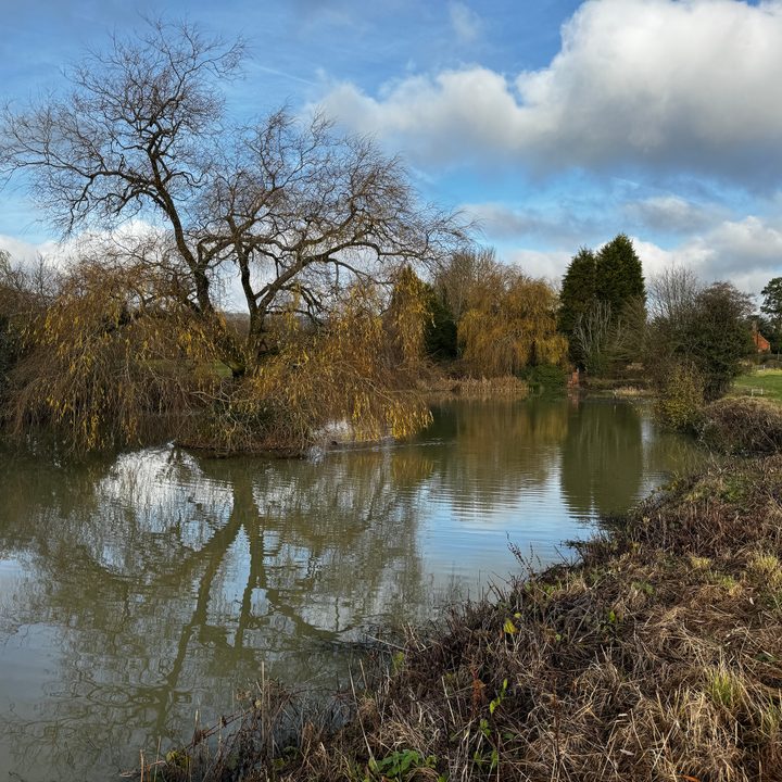 A photo taken with the Apple iPhone 15 Pro Max's main camera.