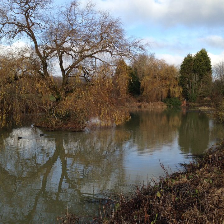 A photo taken with the Apple iPhone 5's main camera.