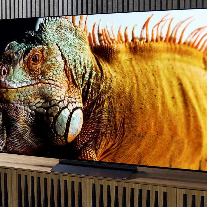 A closeup of a colorful iguana shown on an LG C3 OLED.