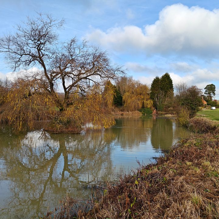 A photo taken with the OnePlus 11's main camera.