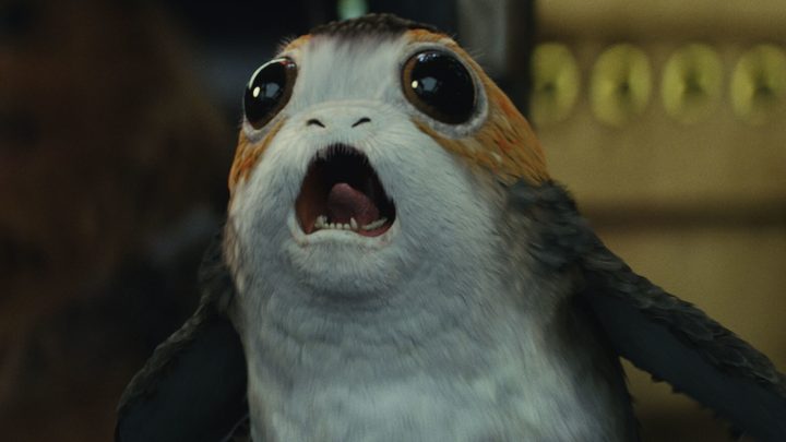 A porg in The Last Jedi.