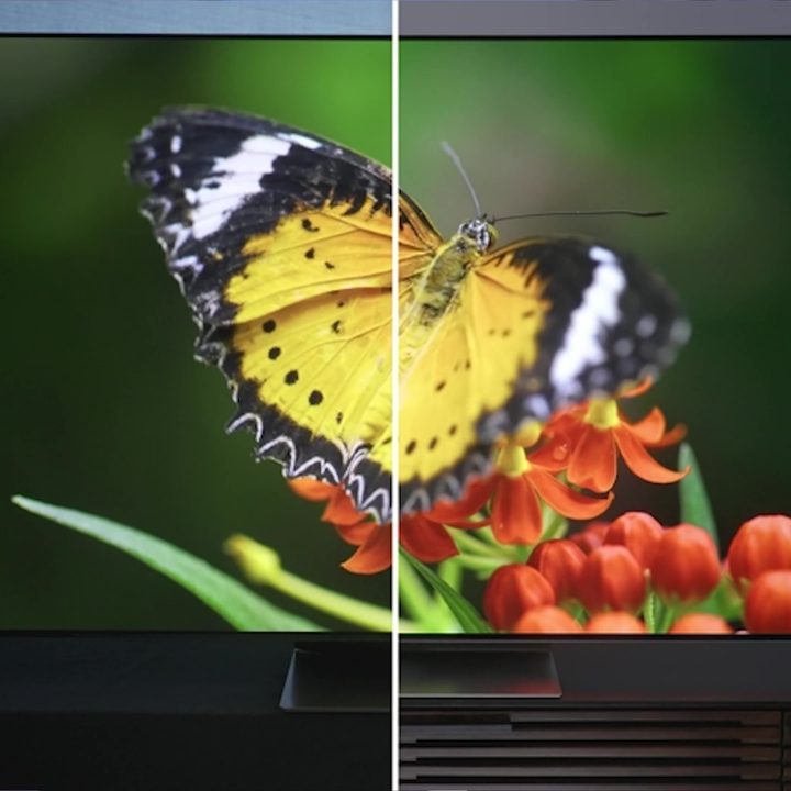 A side-by-side color comparison of a butterly on Samsung QD-OLED and LG MLA OLED TVs.
