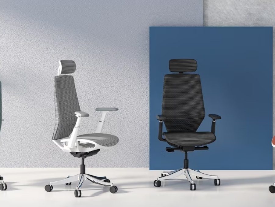 Flexispot C8 Exclusive Ergonomic Chair