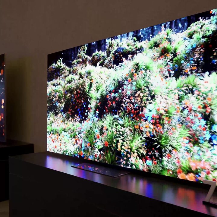 A vibrant reef scene shown off-angle on Samsung’s 76-inch micro-LED TV.