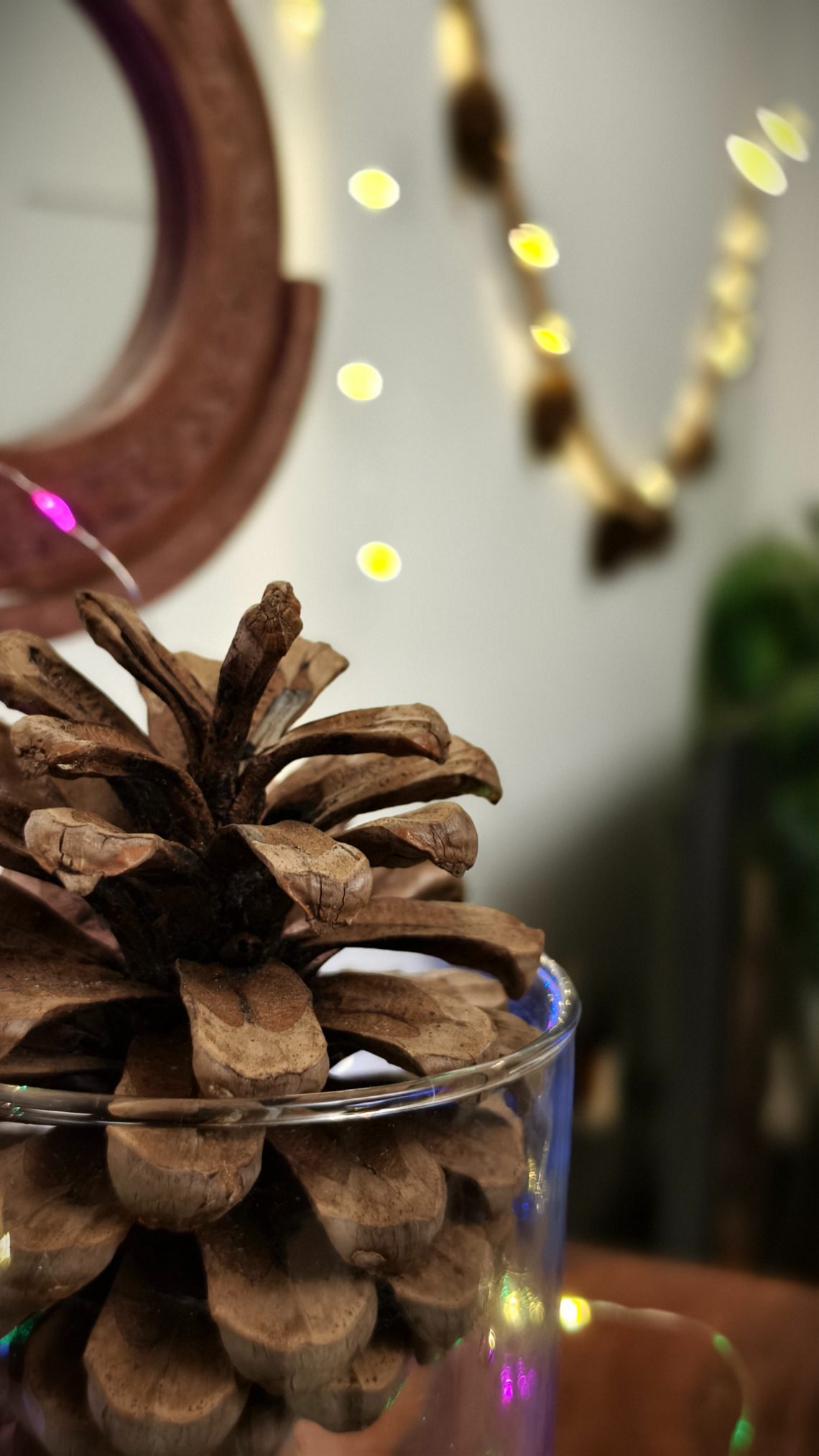 Pine cone kept in a glass jar in front of fairy light shot on the Vivo X100 Zeiss camera.