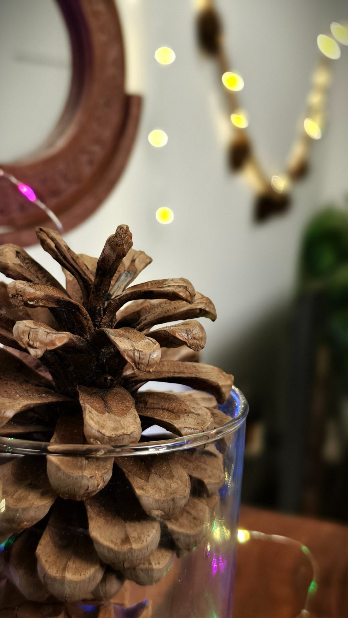 Pine cone kept in a glass jar in front of fairy light shot on the Vivo X100 Zeiss camera.