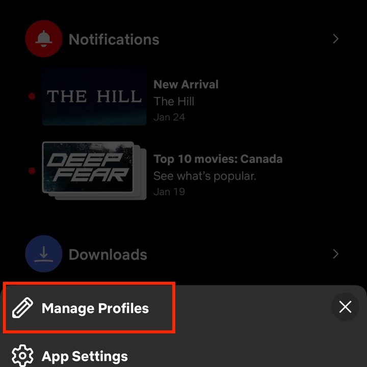 How to delete Netflix profiles from a mobile device.