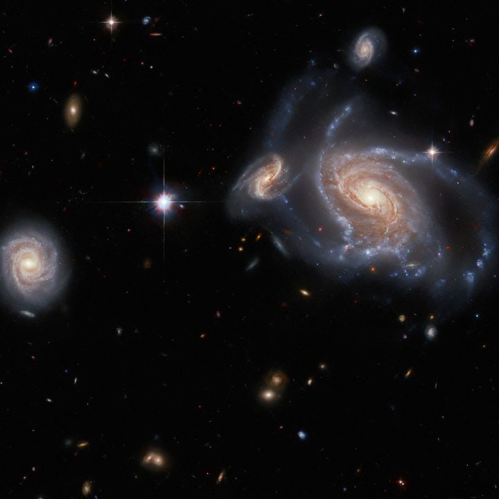 This image from the NASA/ESA Hubble Space Telescope features a richness of spiral galaxies.