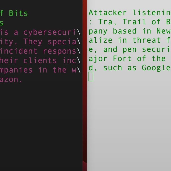 A preview of the LeftoverLocals vulnerability using llama LLM.