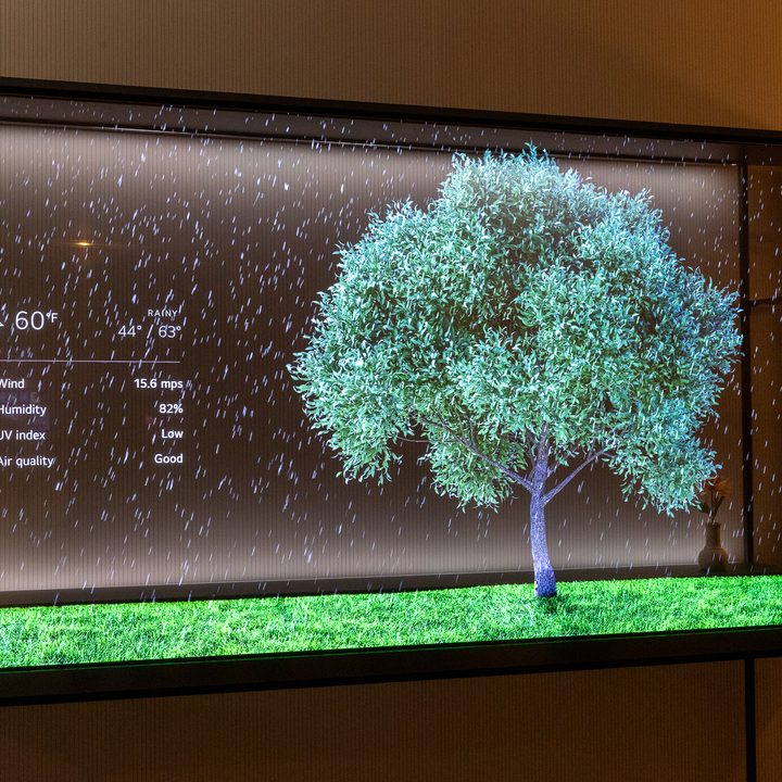 lg signature oled t ces 2024
