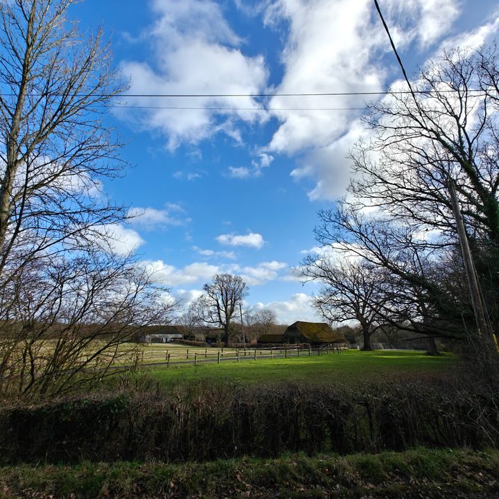 A photo taken with the OnePlus 12's wide-angle camera.