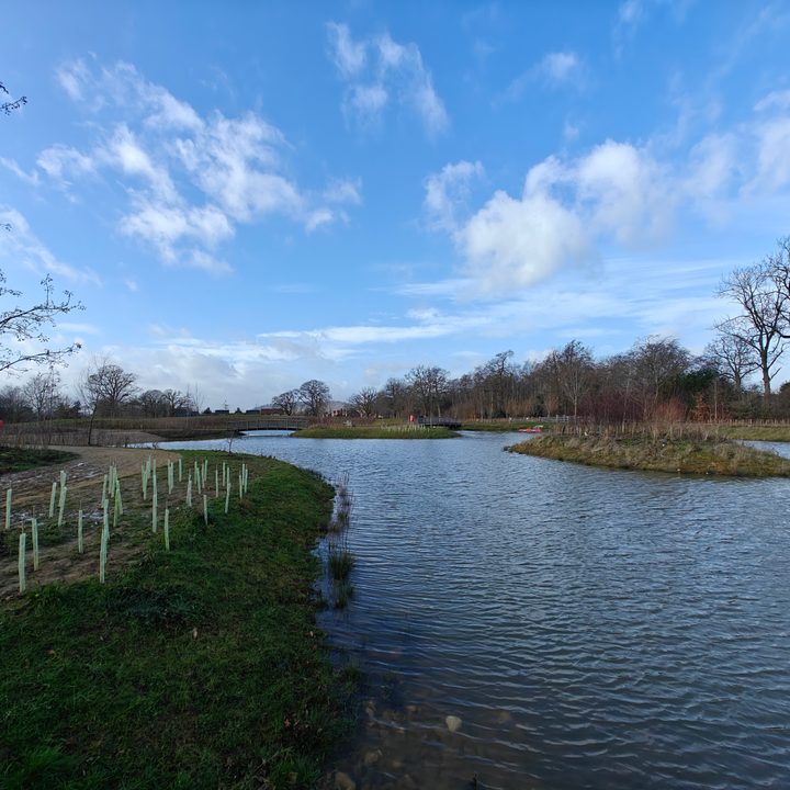 A photo taken with the OnePlus 12's wide-angle camera.
