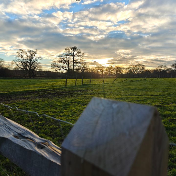 A photo taken with the OnePlus 12's main camera.