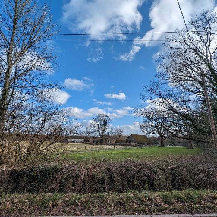 A photo taken with the Google Pixel 8's wide-angle camera.