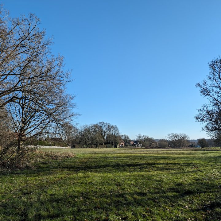 A photo taken with the Google Pixel 8's main camera.