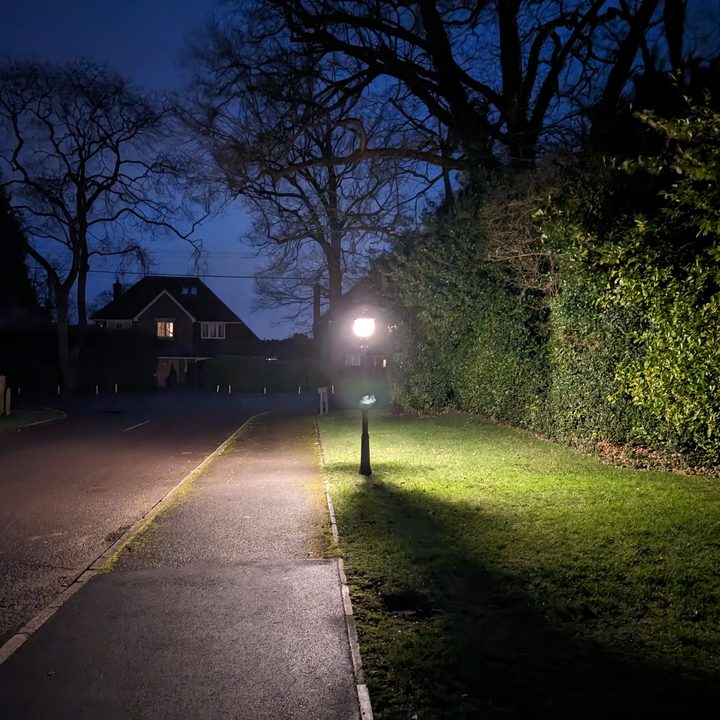 A photo taken with the Google Pixel 8's main camera.