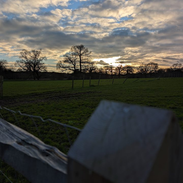 A photo taken with the Google Pixel 8's main camera.