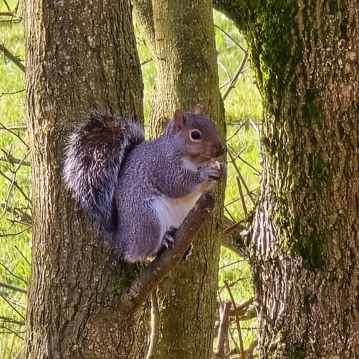A photo taken with the Samsung Galaxy S24 Ultra at 30x zoom.