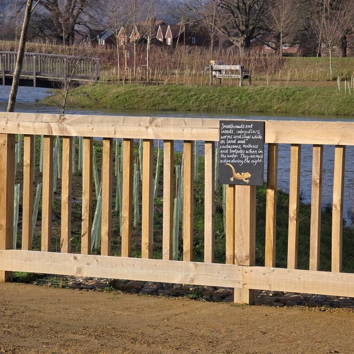 A photo taken with the Samsung Galaxy S24 Ultra at 5x zoom.