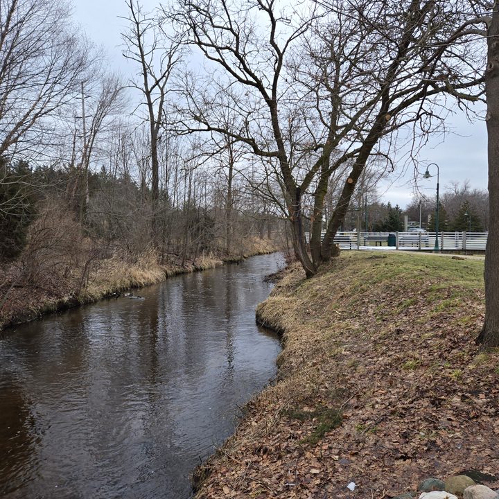 A photo of a small pond and trees in a park, taken with the Samsung Galaxy S24 Plus.