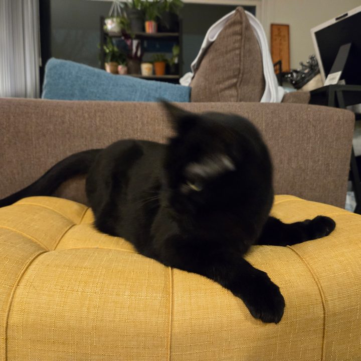 A photo of a black cat sitting on a yellow stool, taken with the Samsung Galaxy S24 Plus.