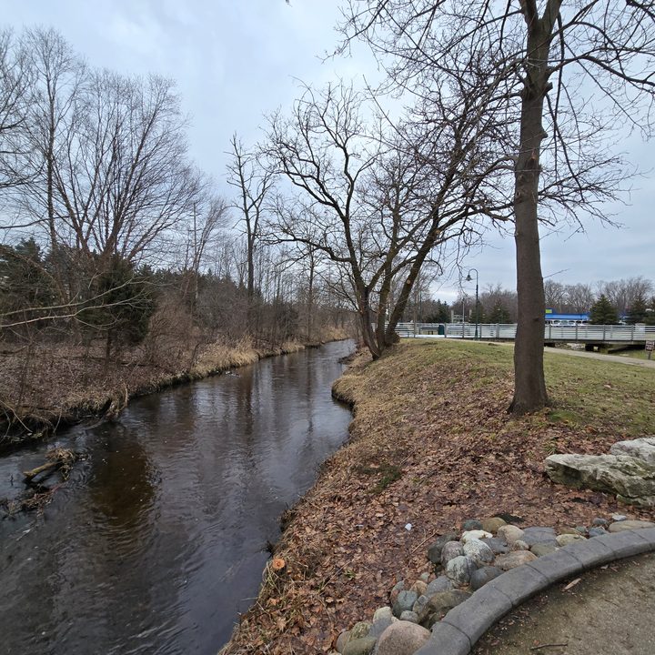 A photo of a small pond and trees in a park, taken with the Samsung Galaxy S24 Plus.