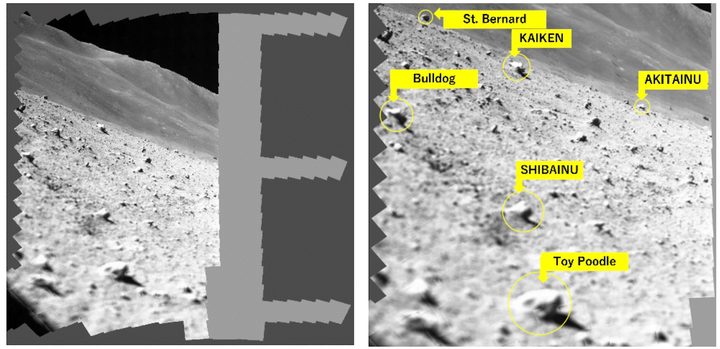 An image captured by the SLIM lunar lander.