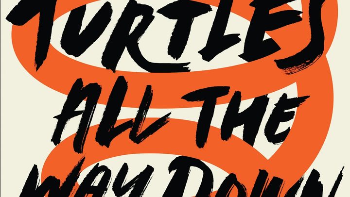 The book jacket to Turtles All the Way Down.