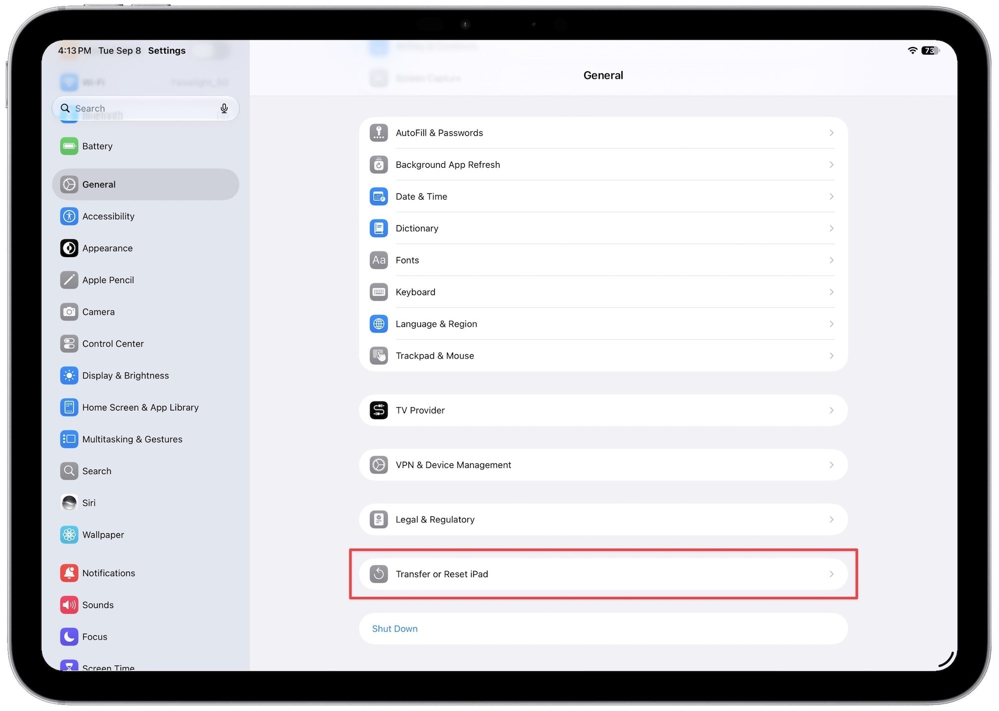 General settings showing transfer or reset option